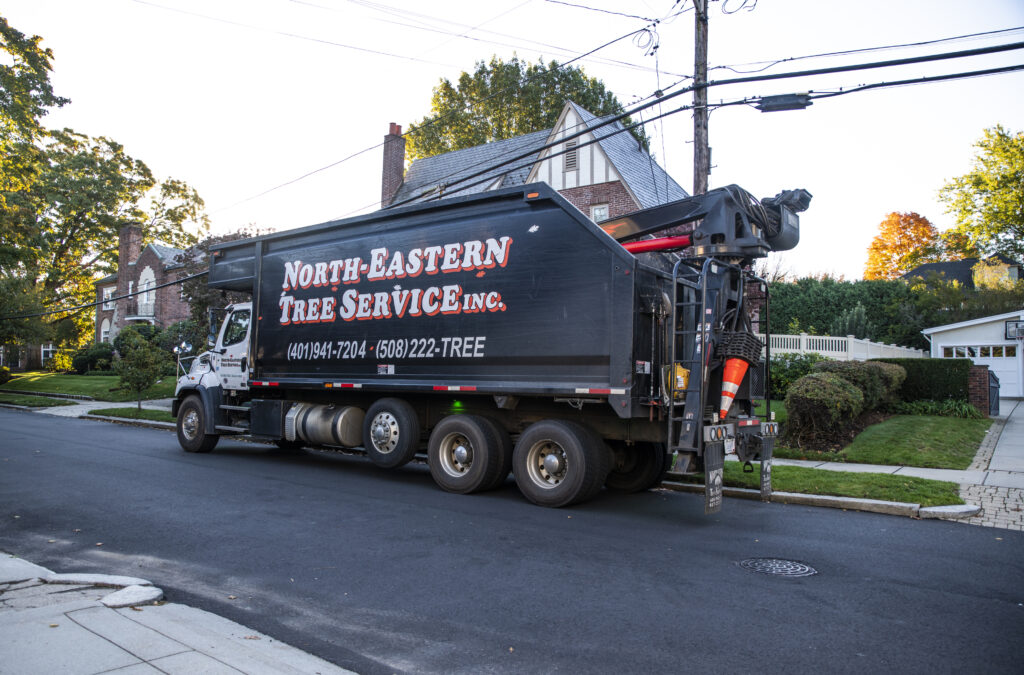 north eastern tree service truck