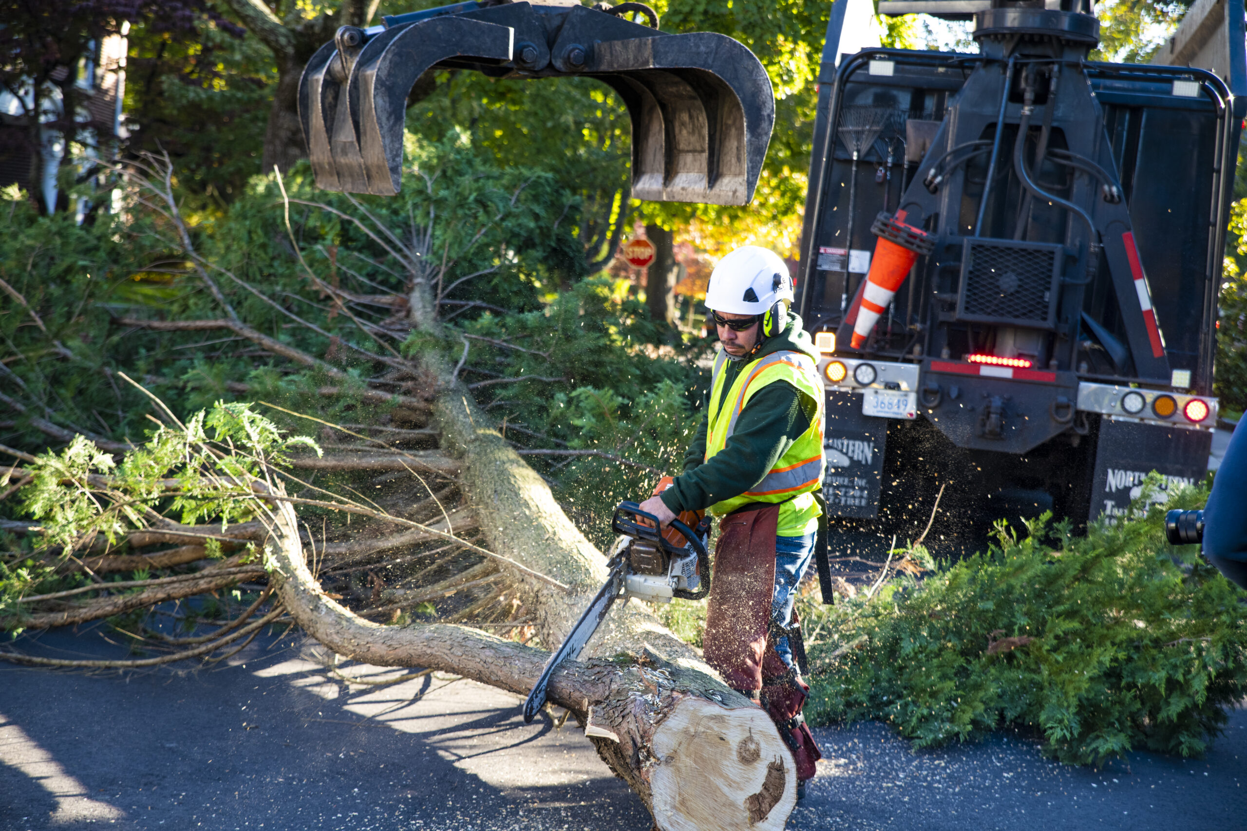 cutting up tree for removal