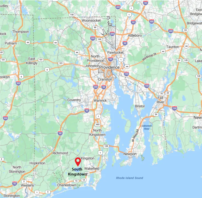 Tree Removal Services