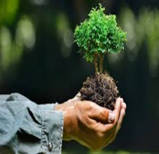 Environmental