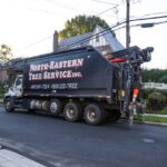 North Eastern Tree Service 10-19-22_JRM-2404