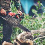 man-cutting-trees-using-electrical-chainsaw