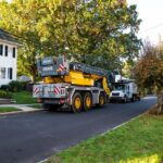 benefits of hiring a certified arborist