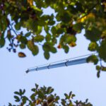 Post-Winter Tree Inspections Matter