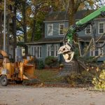 Spring Property Clean-Up