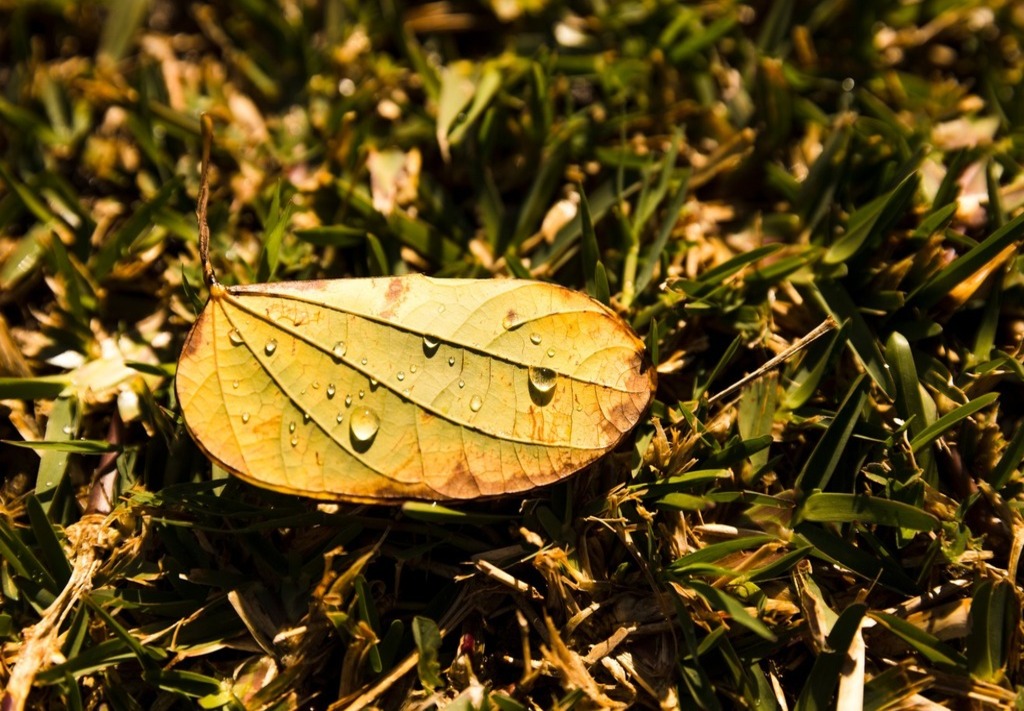 blog image