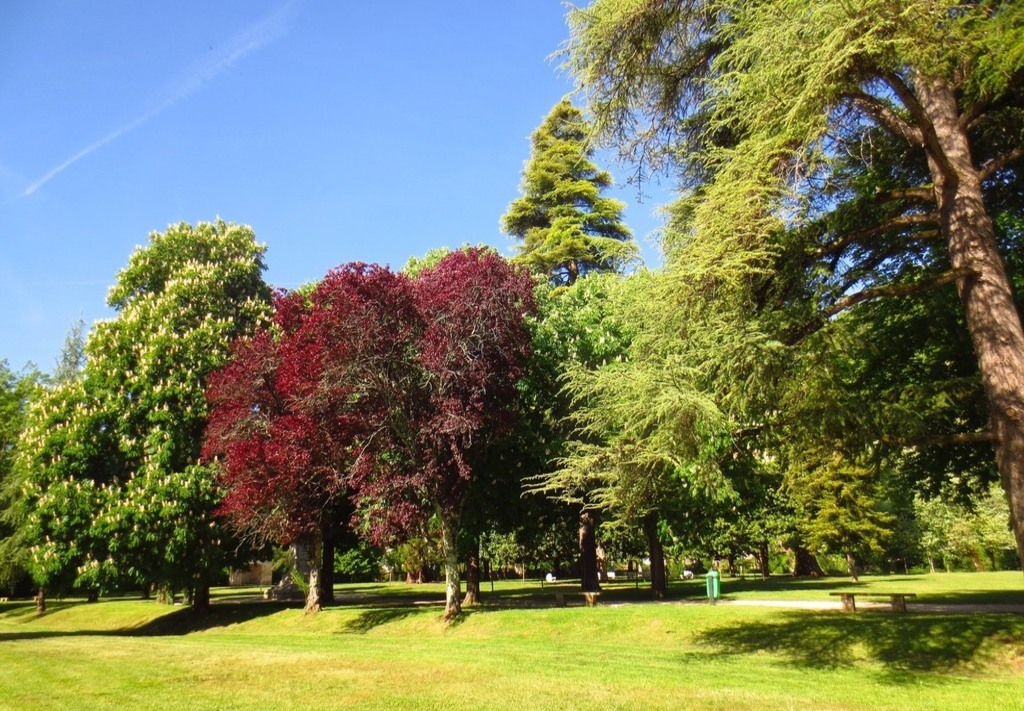 blog image